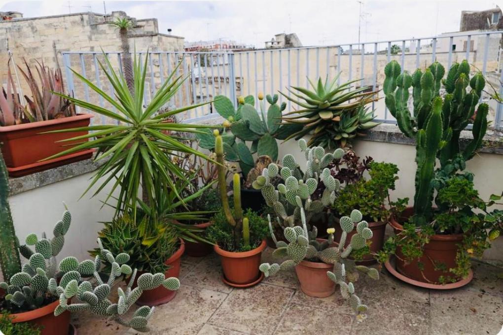 Villa Fior Di Loto Lecce Exterior foto